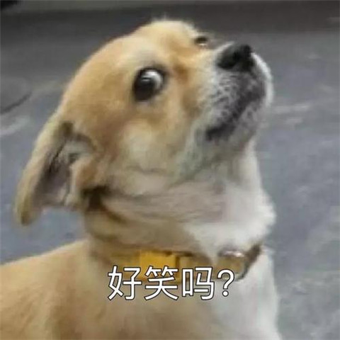 为什么那么多舔狗?怎么追女生才不会沦为舔狗? 为什么那么多舔狗?怎么追女生才不会沦为舔狗?第2张